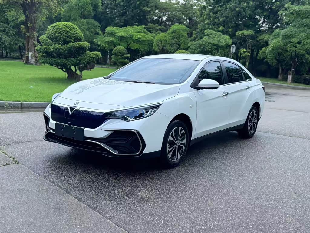 D60EV