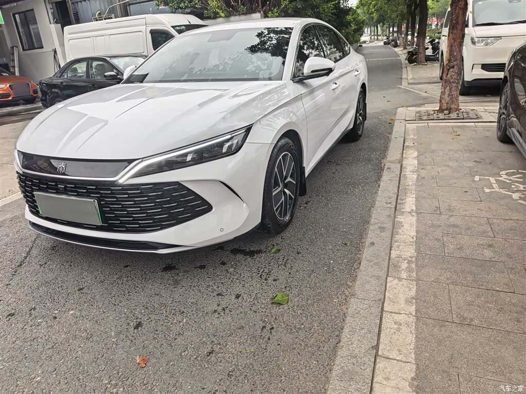BYD Qin, 2024 1