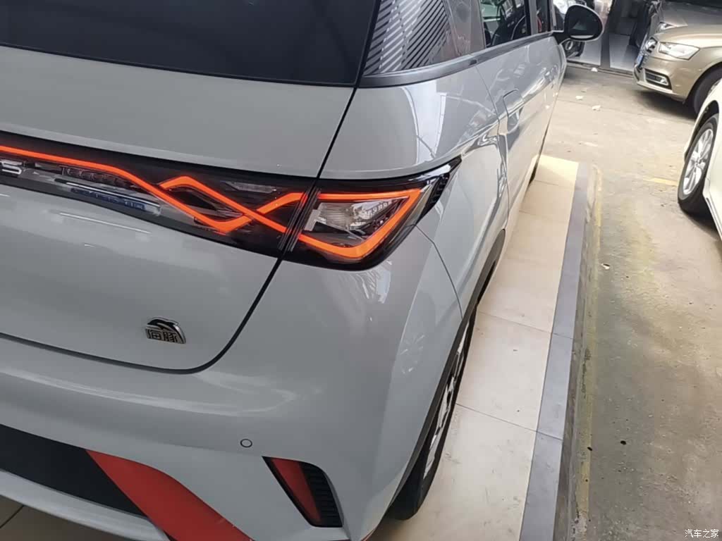 BYD Dolphin, 2021 8