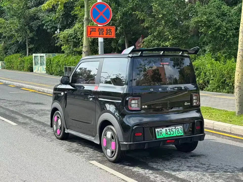 Geely Galaxy panda