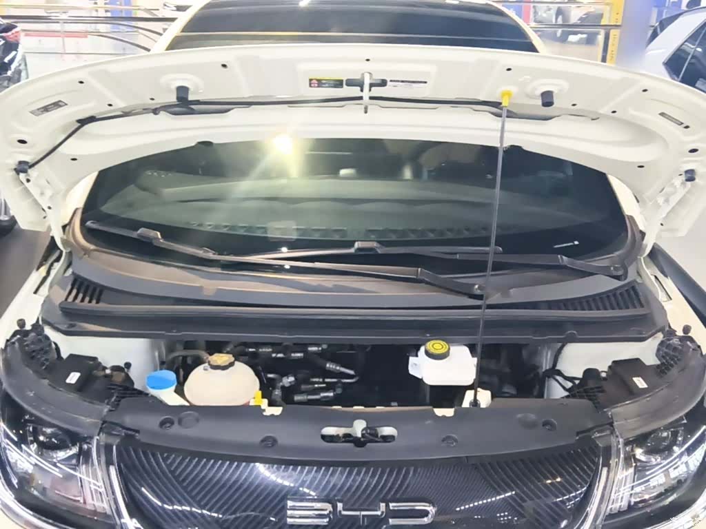 BYD Dolphin, 2023 20