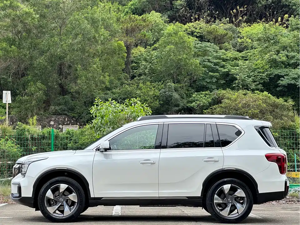 Trumpchi Trumpchi GS8