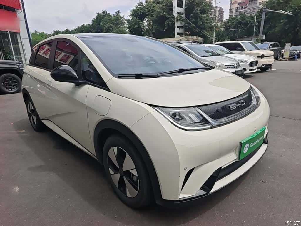 BYD Dolphin, 2023 4