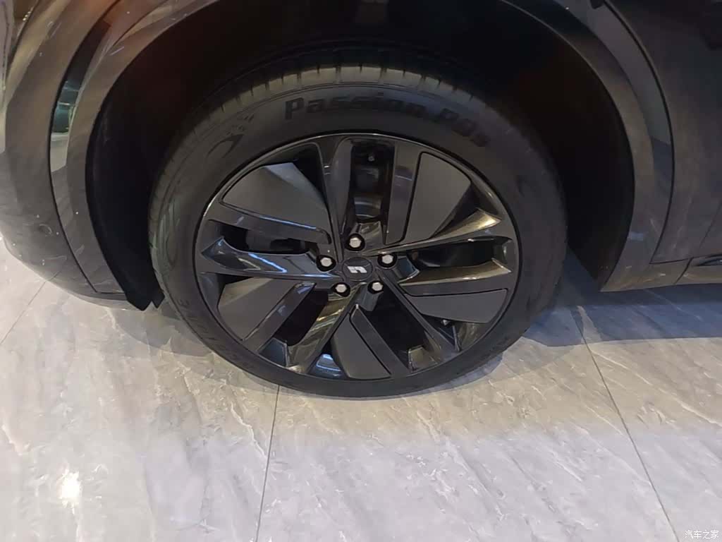 Li Auto L9, 2023 23