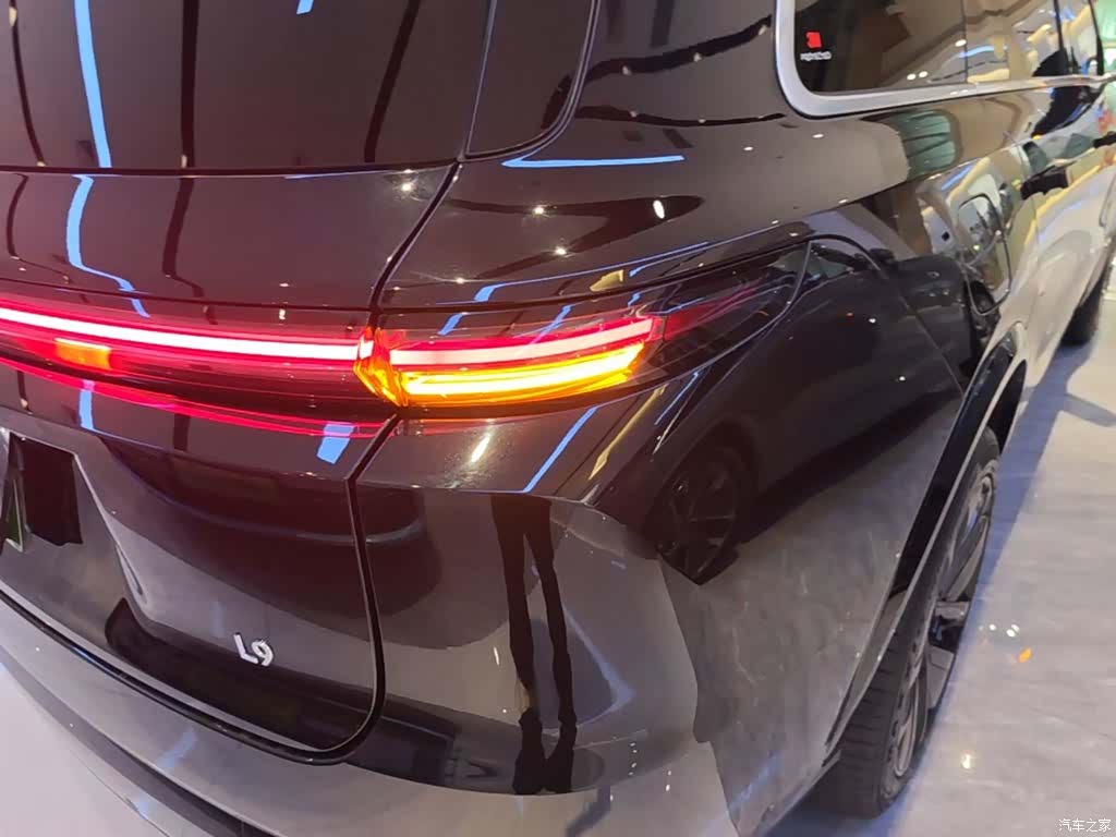 Li Auto L9, 2023 8