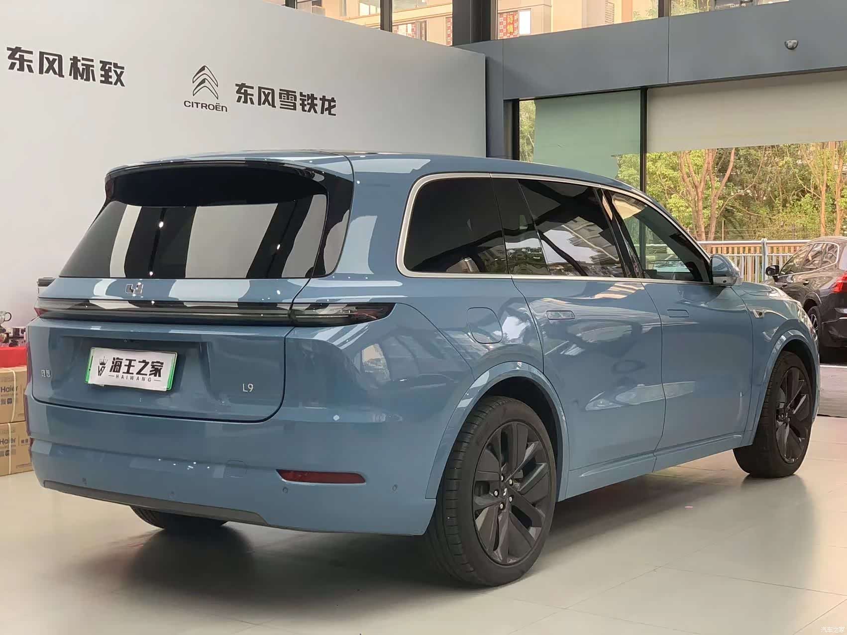 Li Auto L9, 2023 все фото