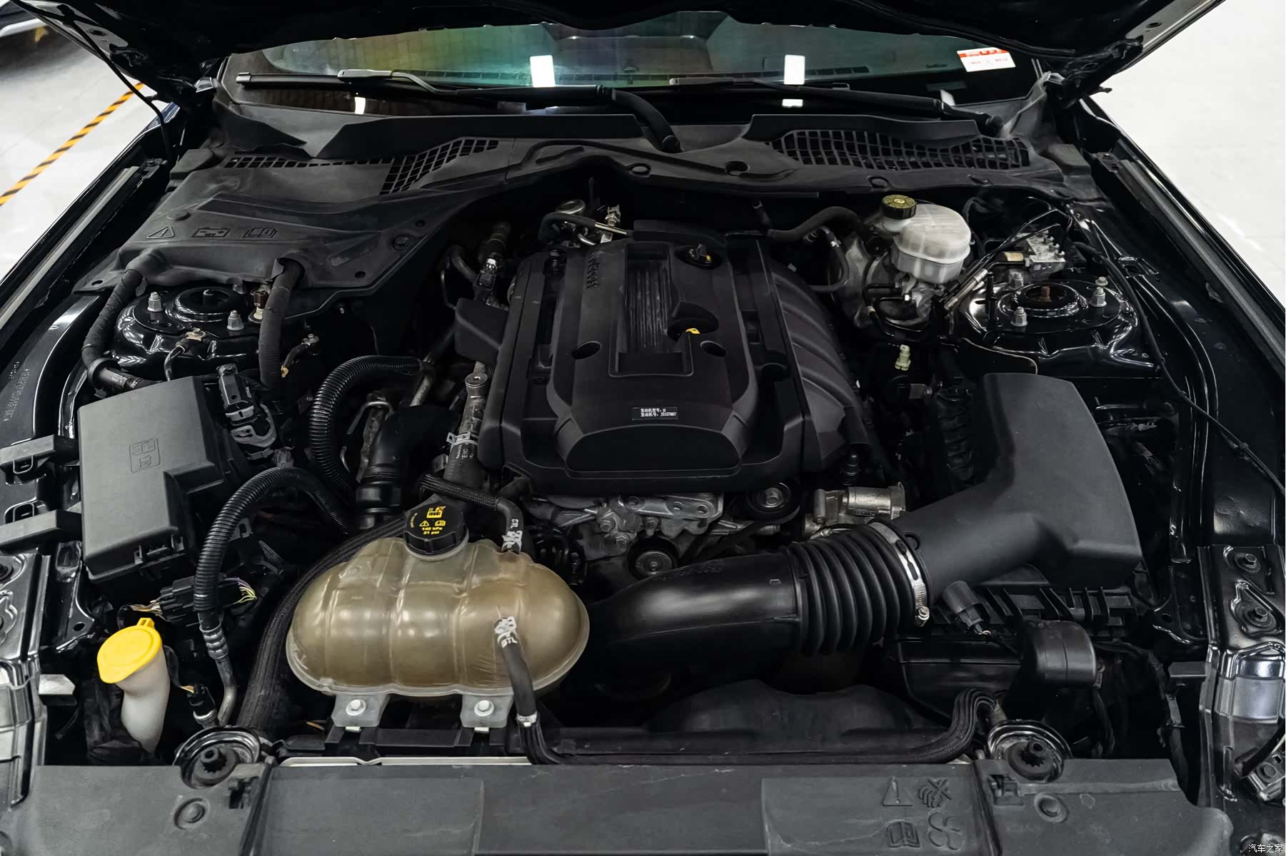 Ford Mustang, 2018 все фото