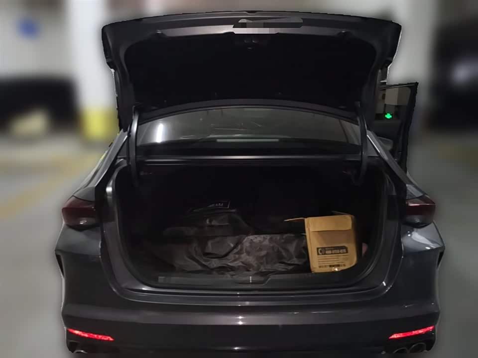 Trumpchi Shadow Leopard