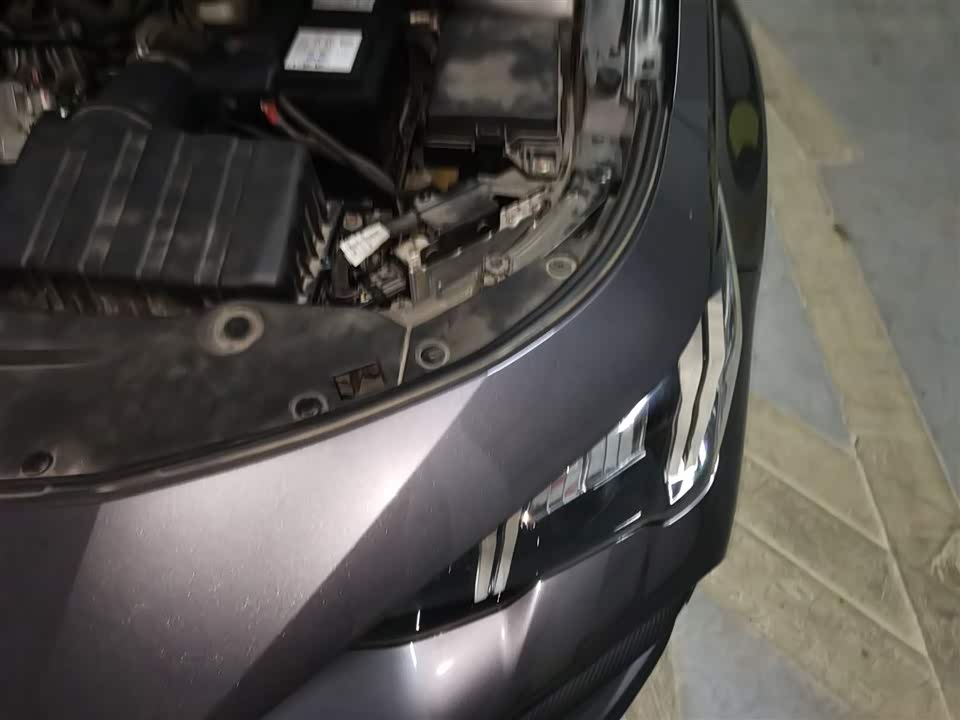 Trumpchi Shadow Leopard