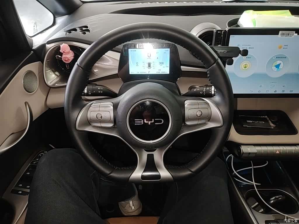 BYD Dolphin, 2024 7