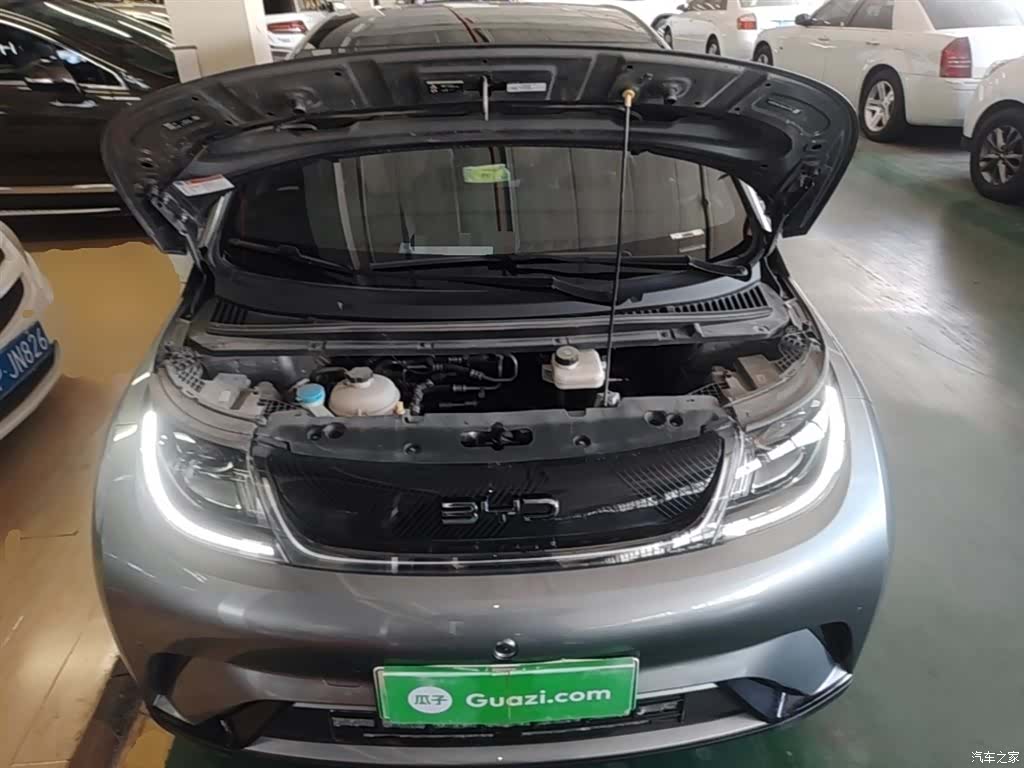 BYD Dolphin, 2024 16