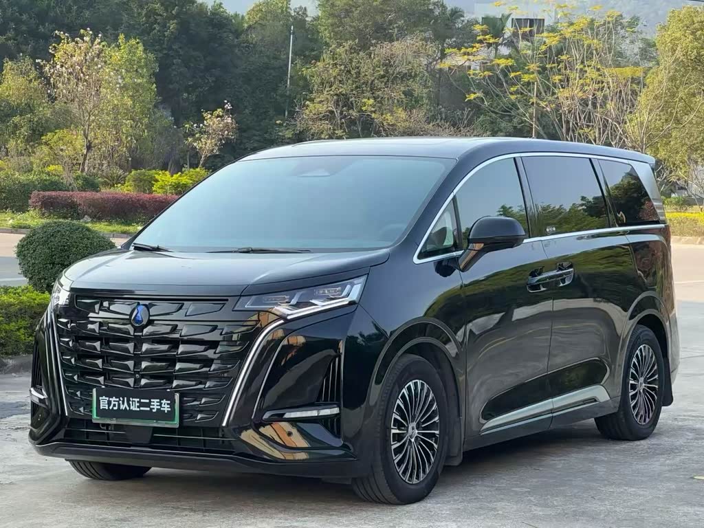 Denza D9