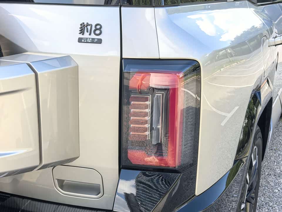 BYD Leopard 8