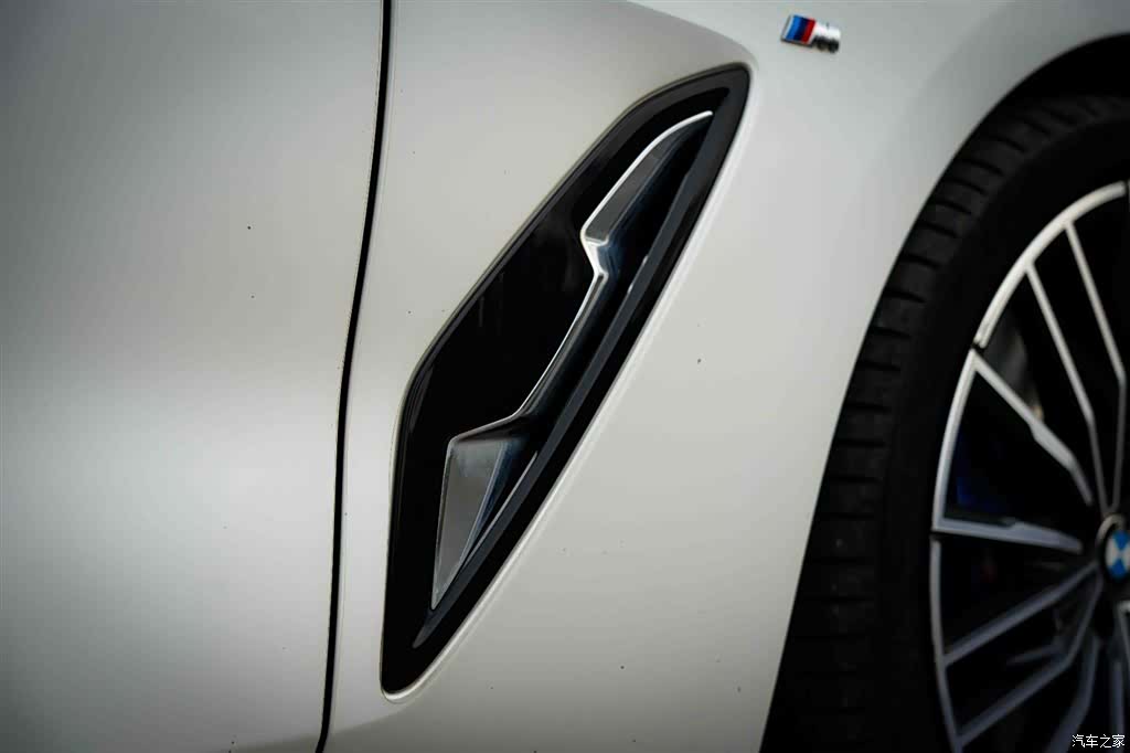 BMW 8 Series, 2021 13