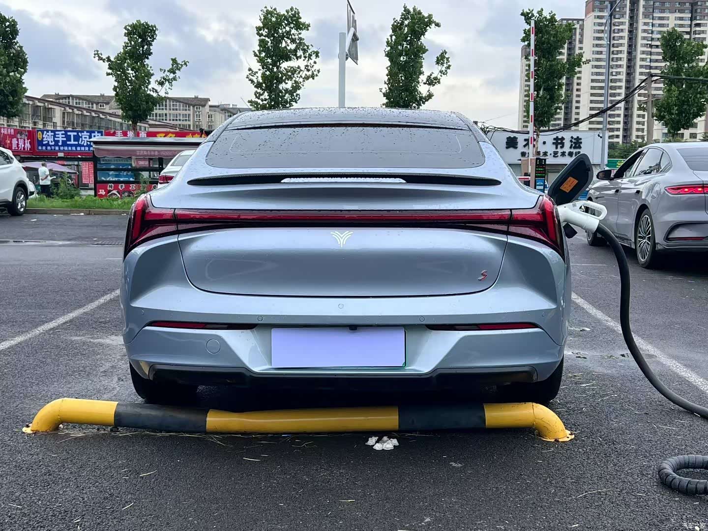 Neta S, 2024 8