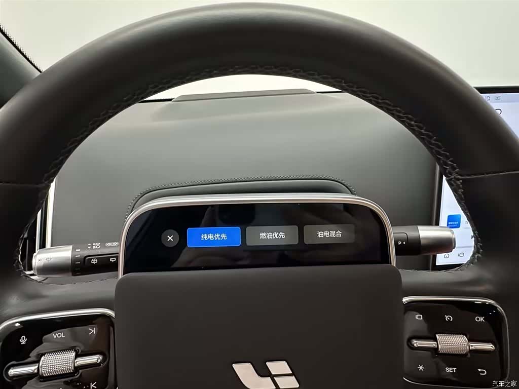 Li Auto L9, 2024 16