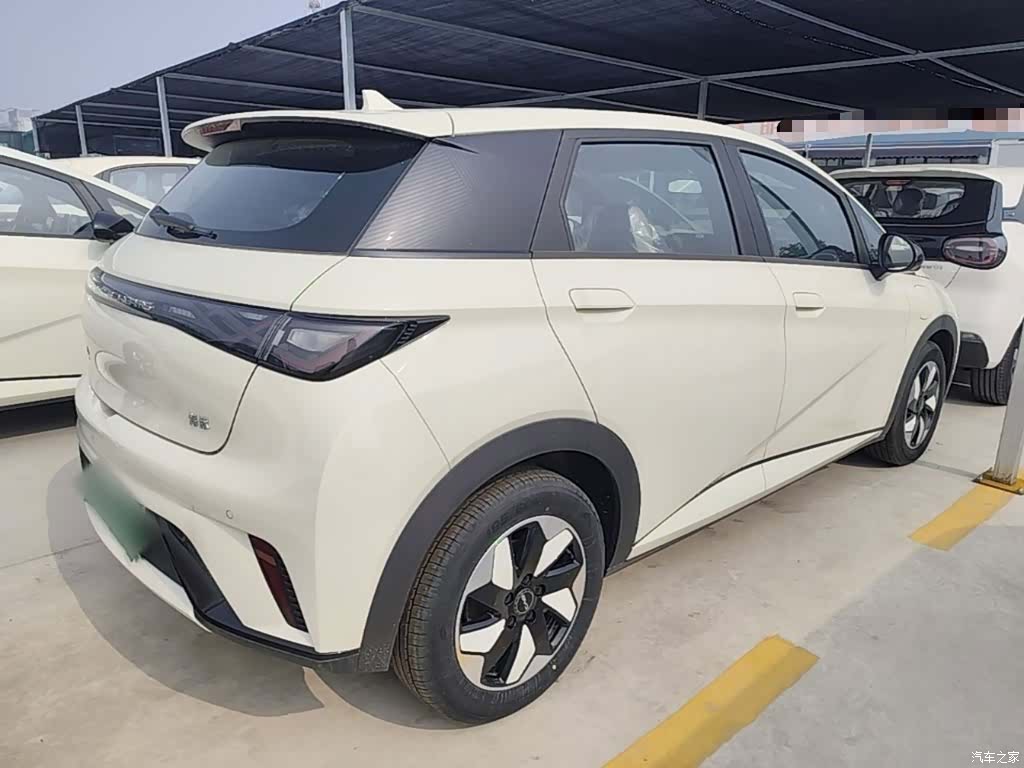 BYD Dolphin, 2026 7