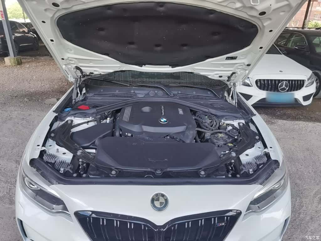 BMW 2 Series, 2017 20