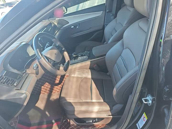 BYD e9 2022 shang wu ban