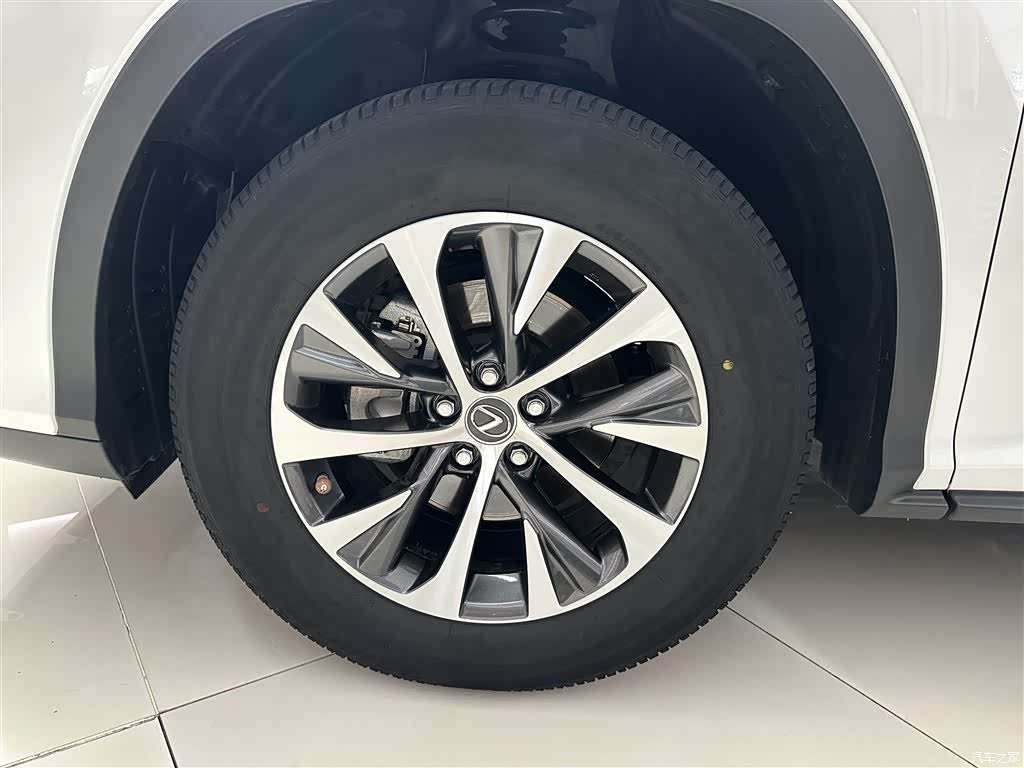 Lexus RX, 2021 все фото
