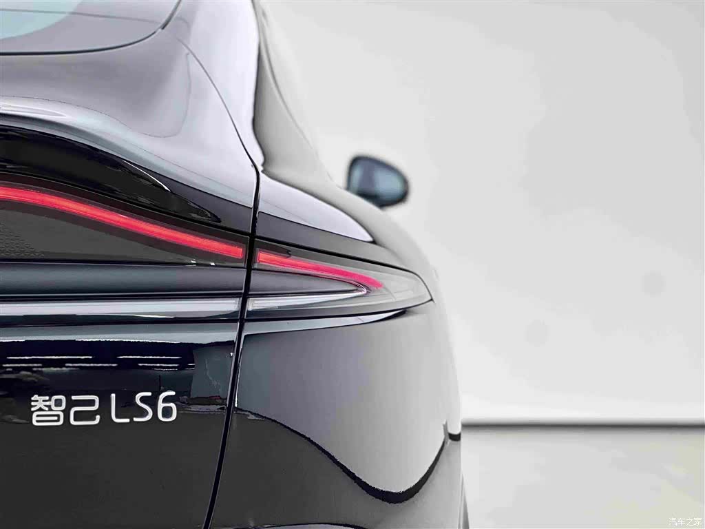 IM Motors LS6, 2024 15