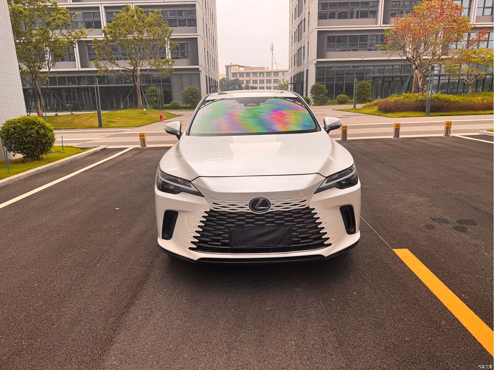 Lexus RX, 2025 2
