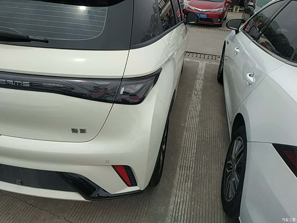 BYD Dolphin, 2024 8