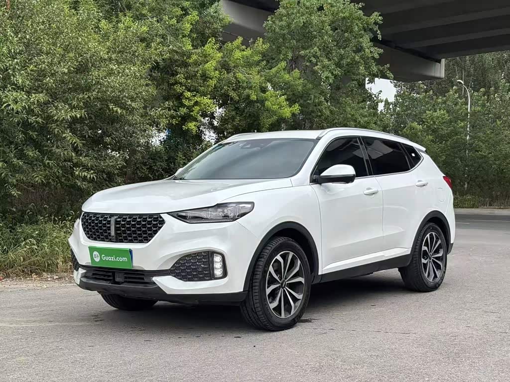 Wey VV6