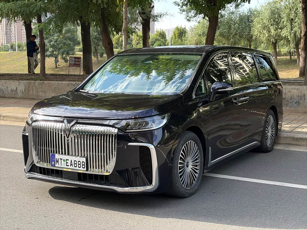 Voyah 2025 PHEV Flagship