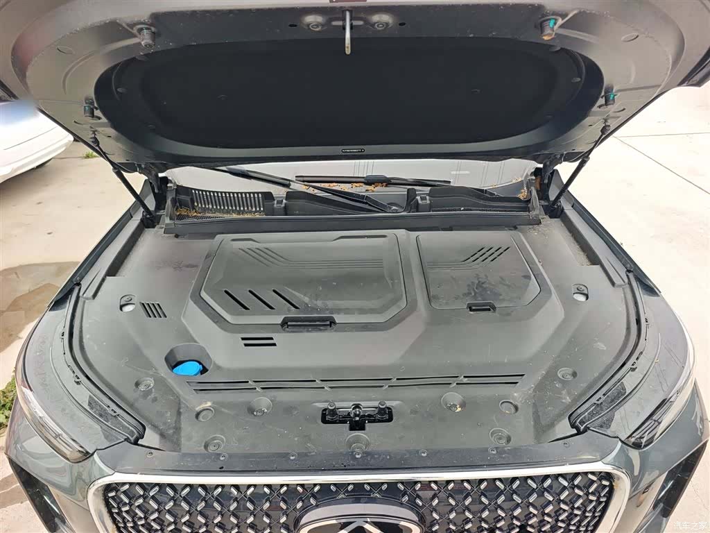 Chery Tiggo 8 Plus, 2025 20
