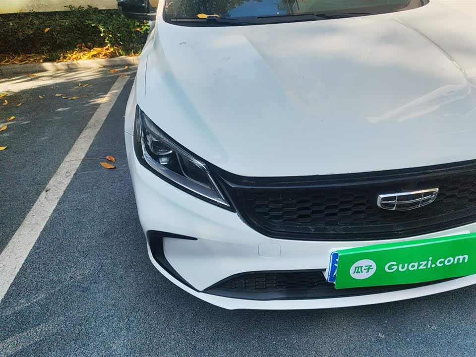Geely Binrui