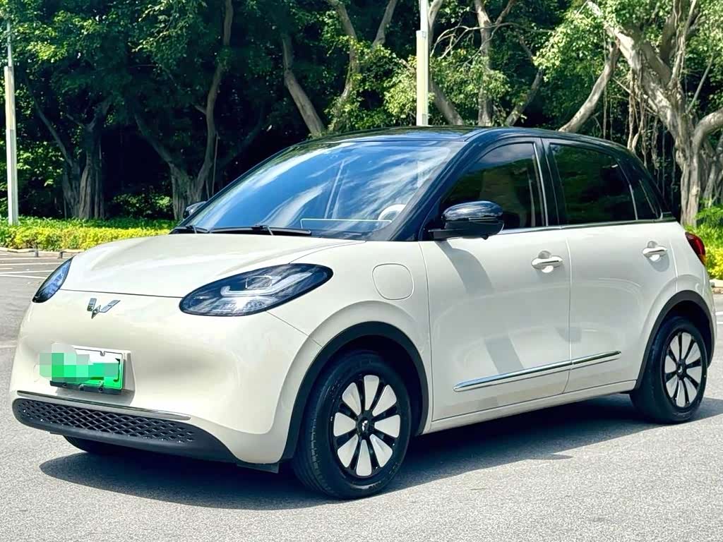 Wuling Binguo