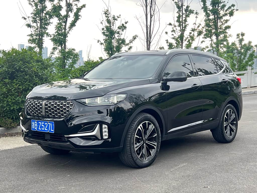 Wey VV6