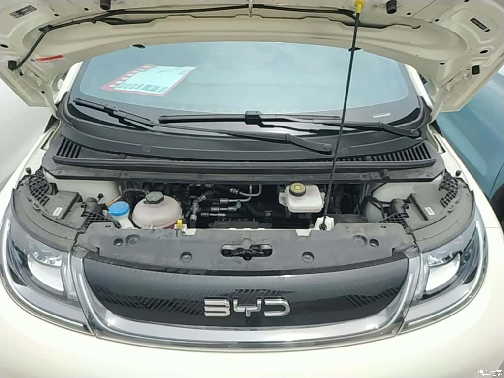 BYD Dolphin, 2024 20