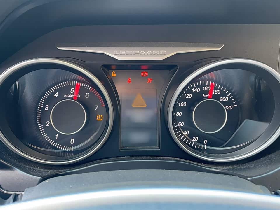 Leopaard Cheetah CS10