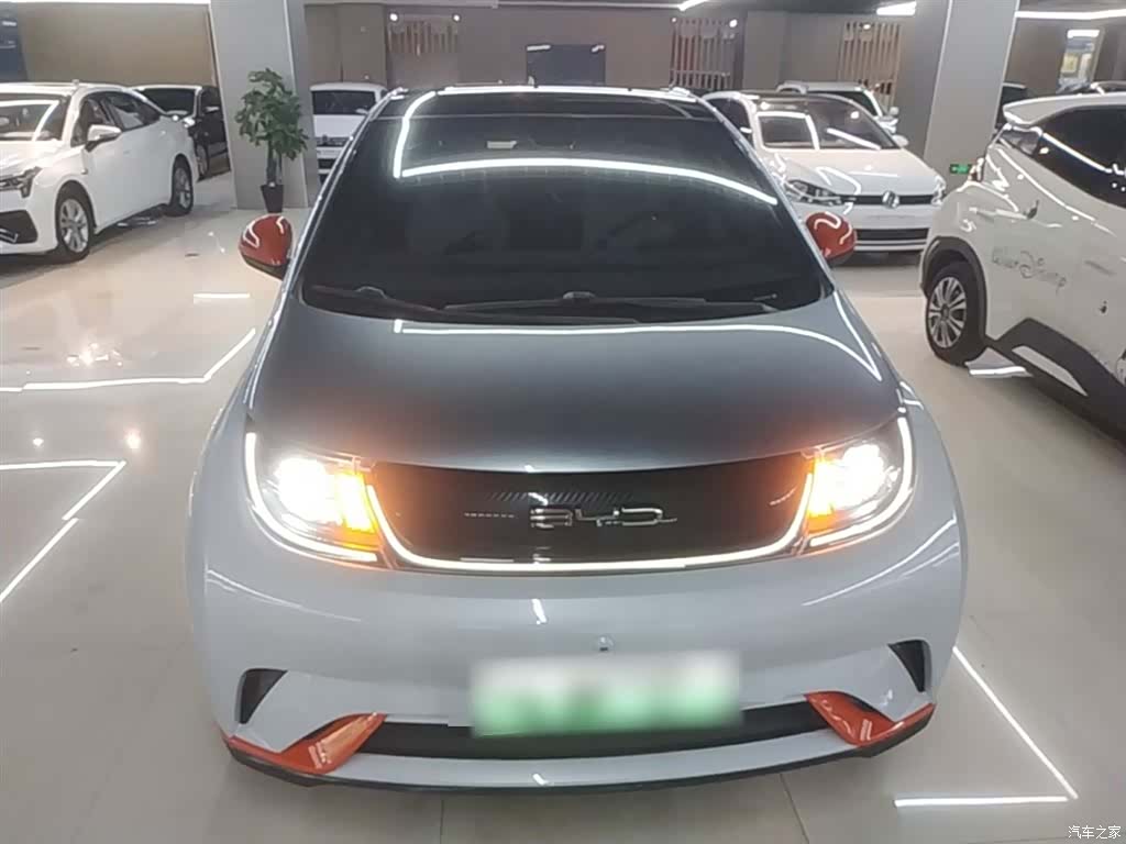 BYD Dolphin, 2022 3