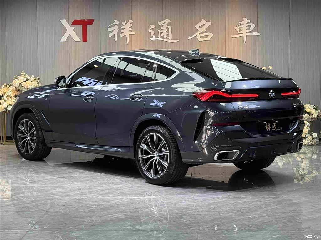 BMW X6, 2021 19