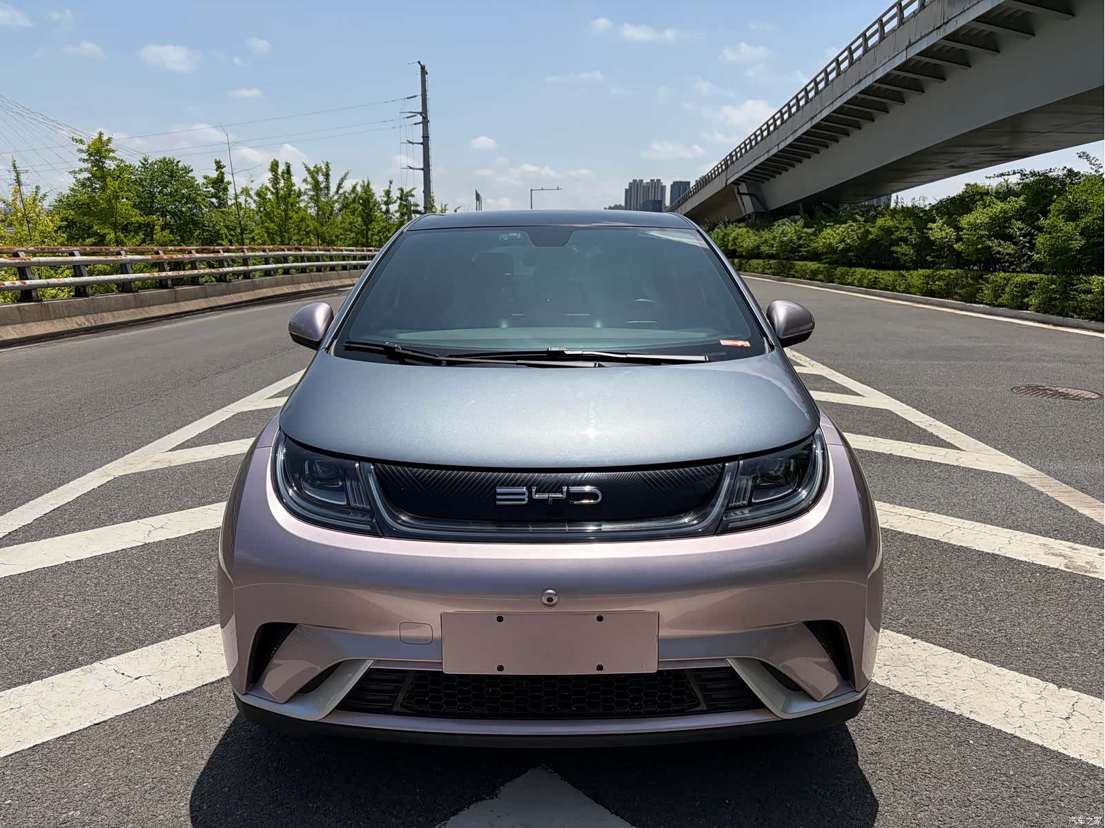 BYD Dolphin, 2022 2