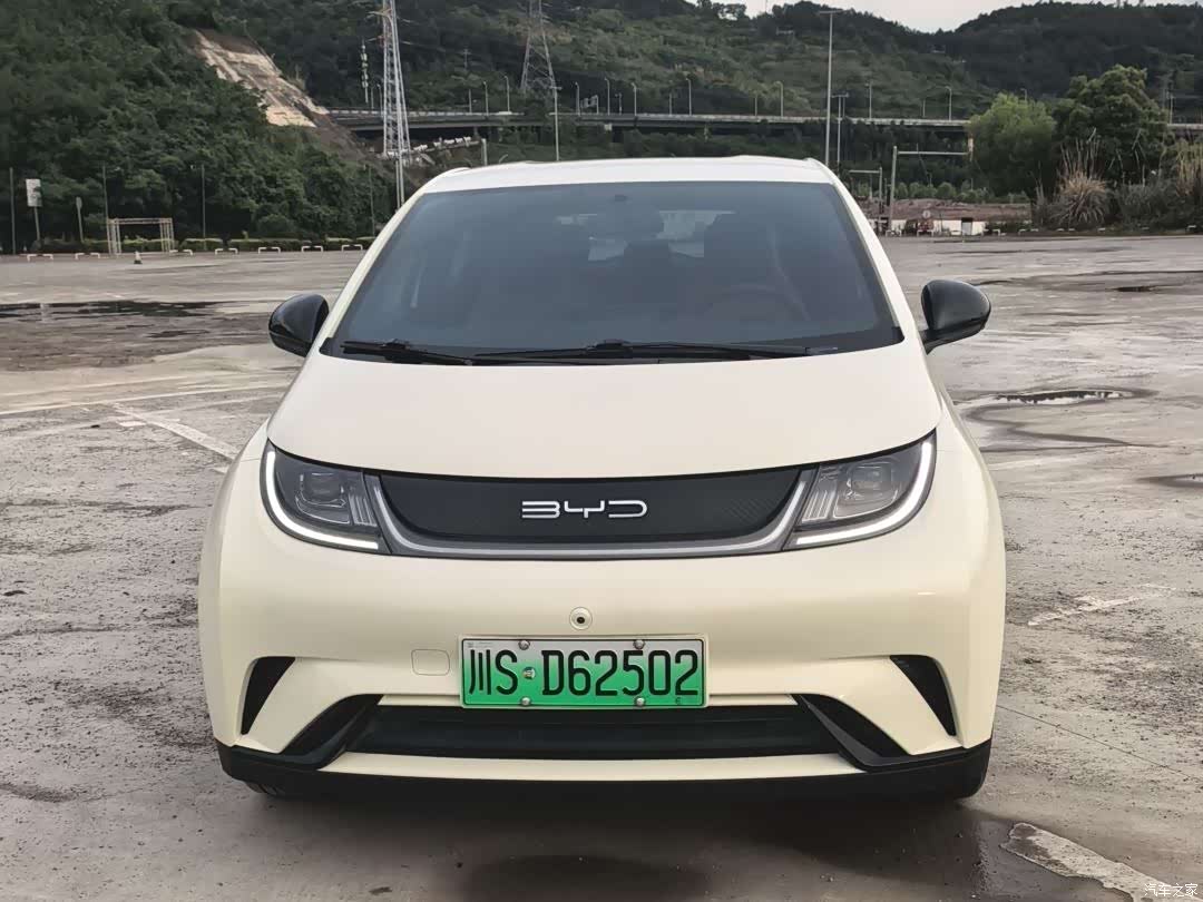 BYD Dolphin, 2024 2