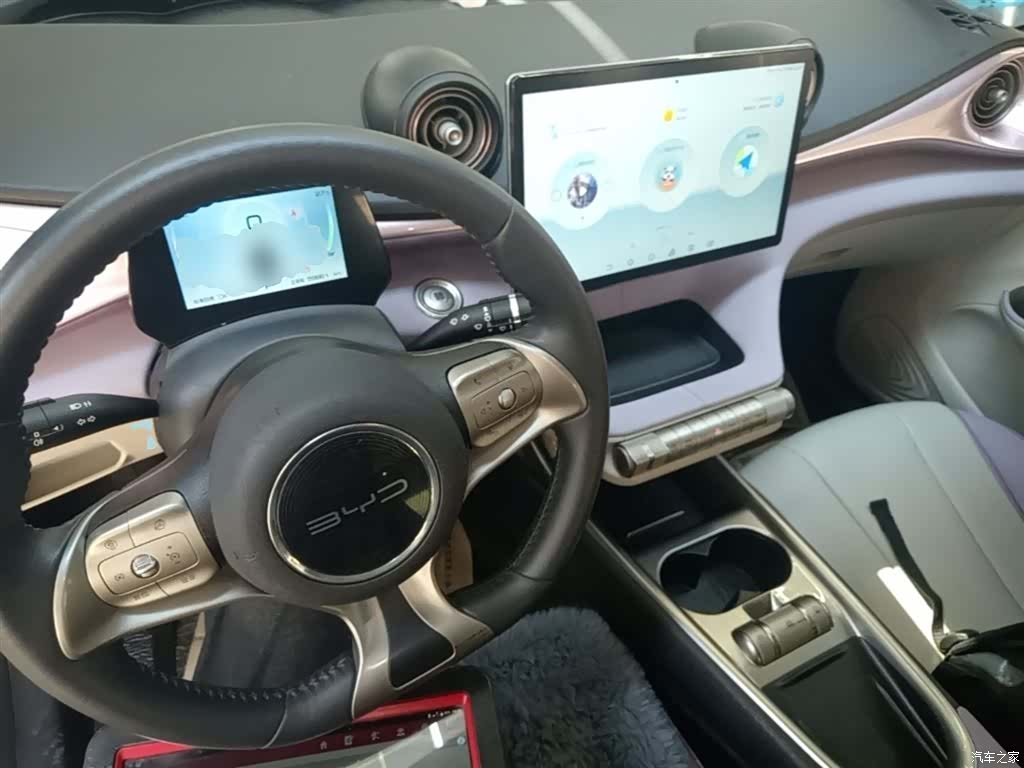 BYD Dolphin, 2022 10