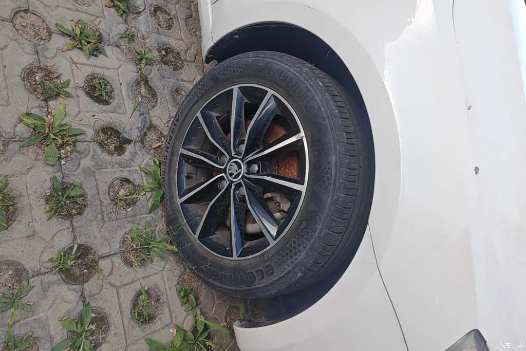 Skoda Octavia, 2017 6