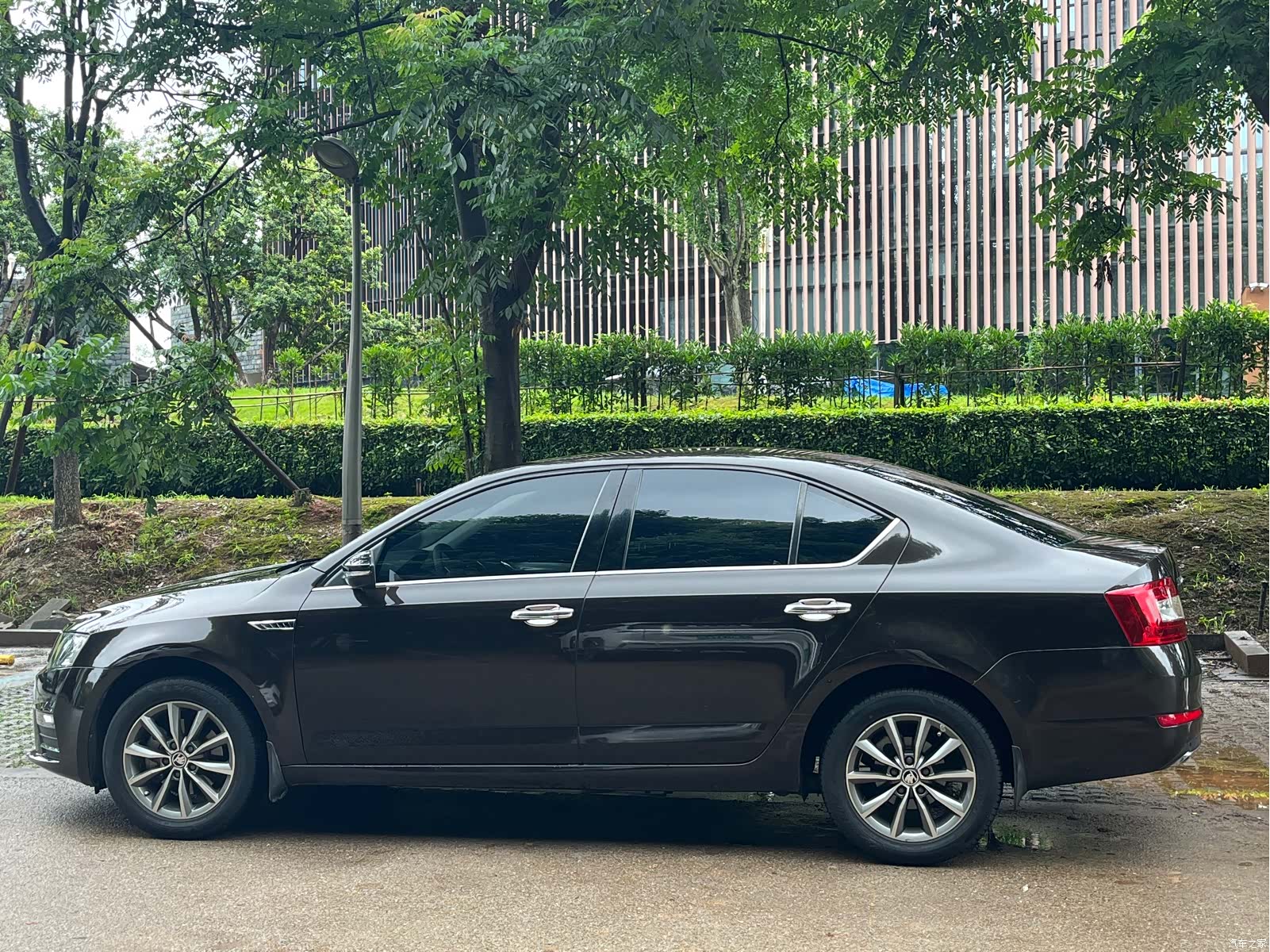 Skoda Octavia, 2016 4