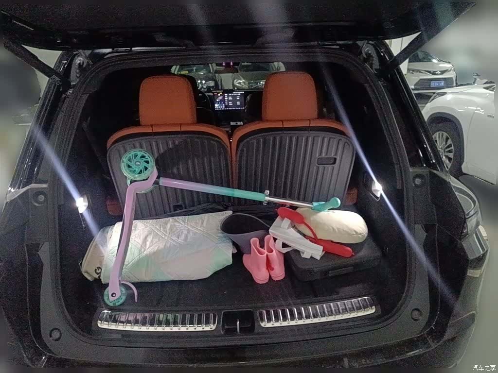 Li Auto L9, 2023 10