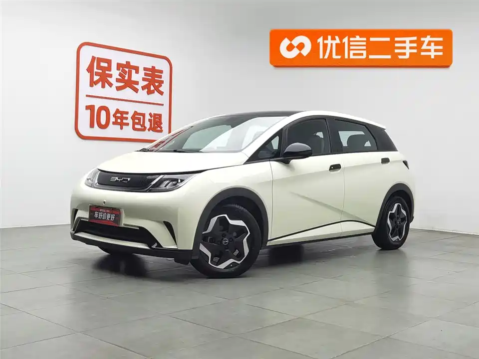 BYD dolphin