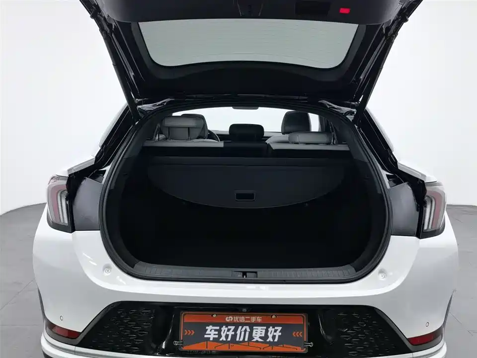 ARCFOX Polar Fox Alpha S