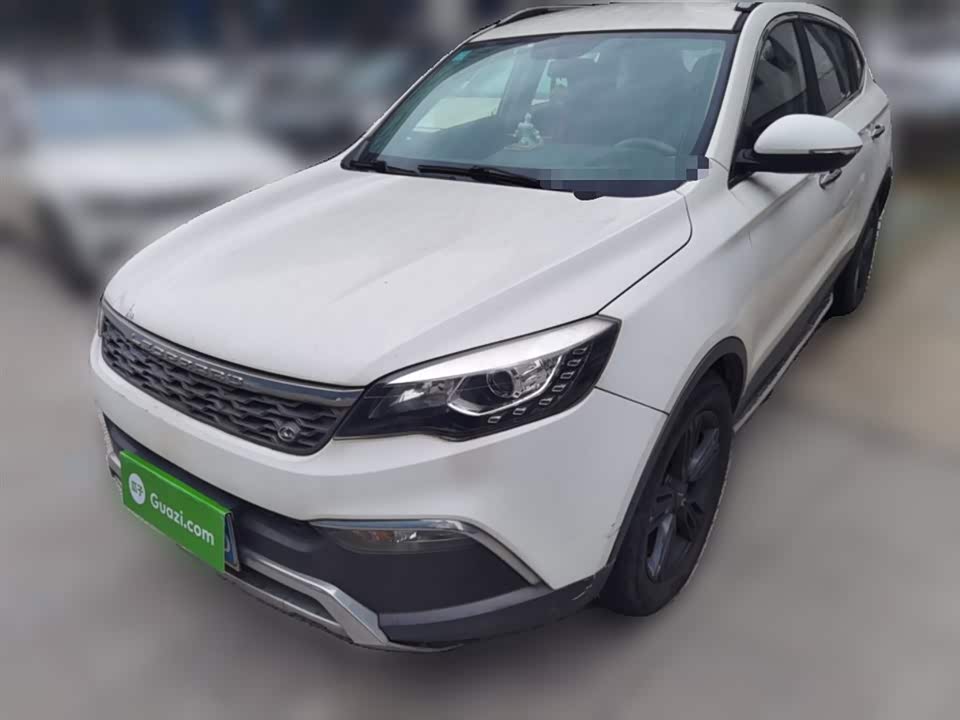 Leopaard Cheetah CS10