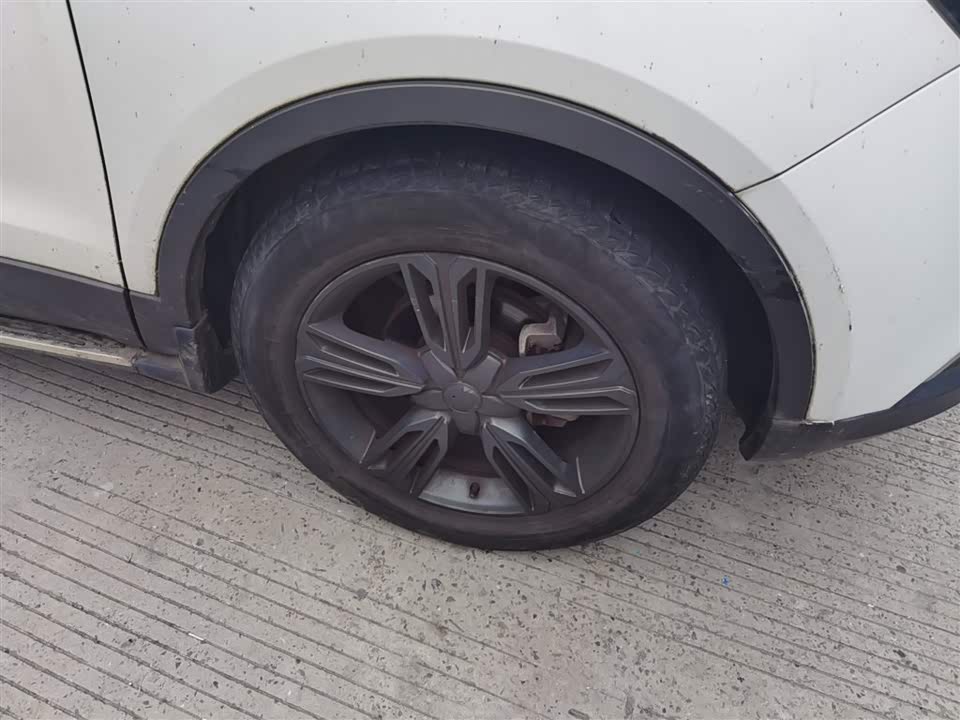 Leopaard Cheetah CS10