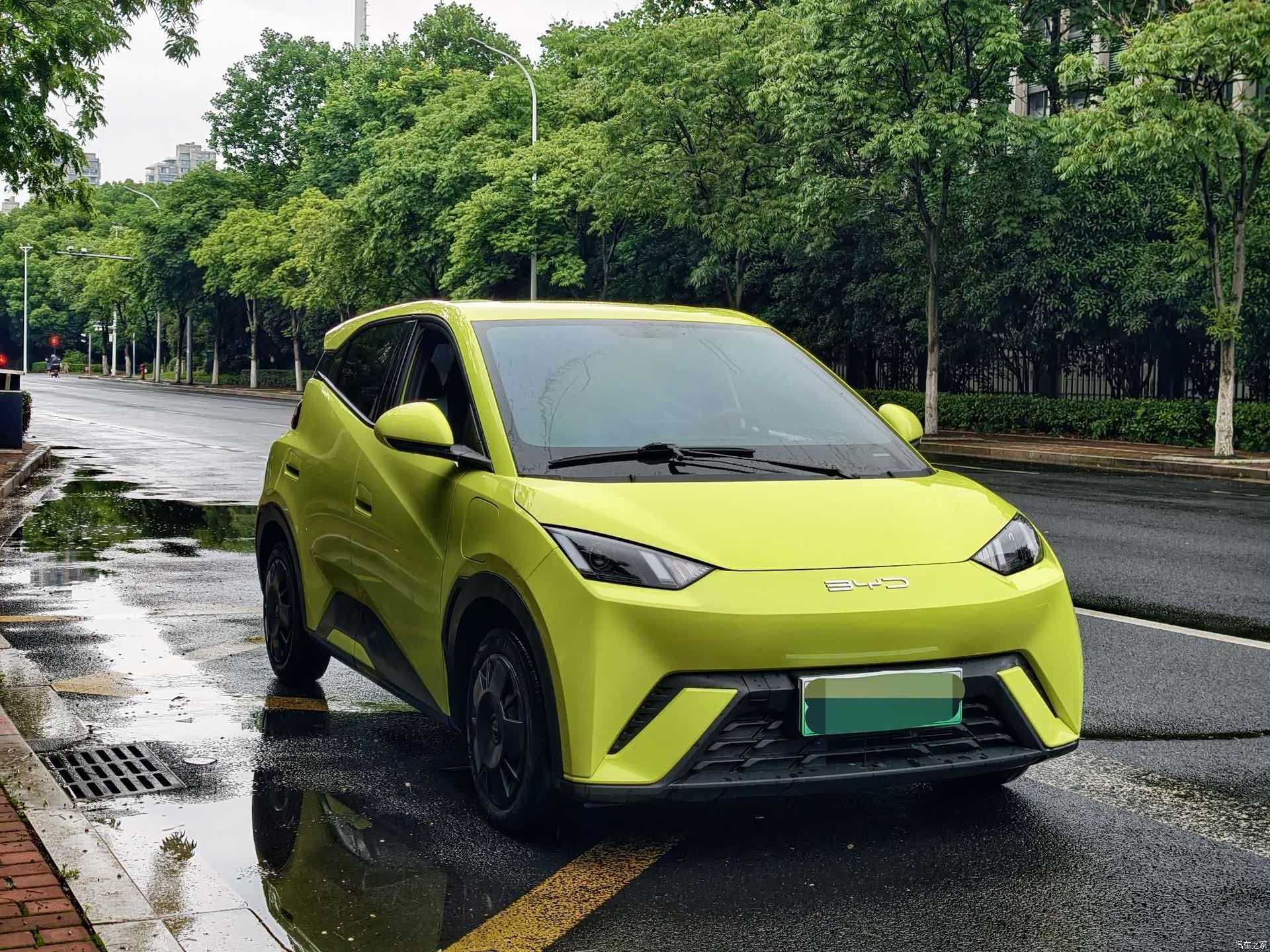 BYD Seagull, 2024 3