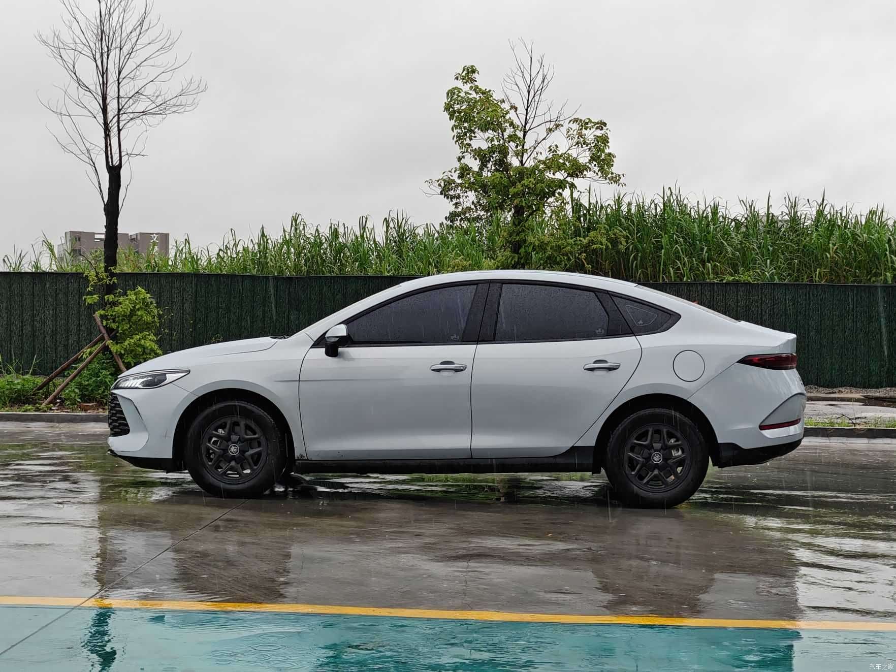 BYD Qin, 2025 3