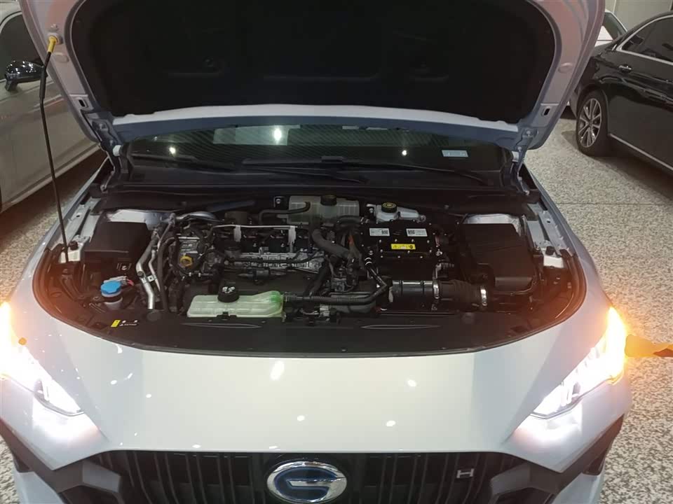 Trumpchi Shadow Leopard